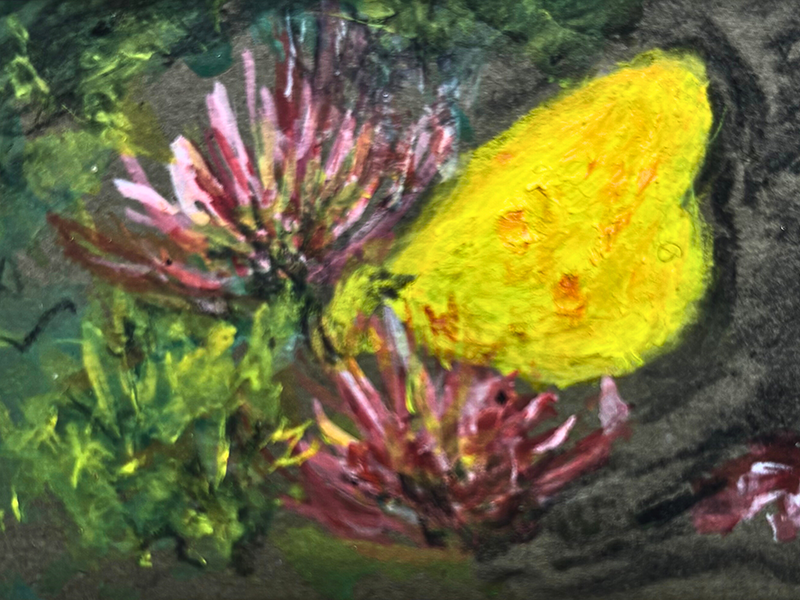 Learning to See: What Painting Has Taught Me About Colour